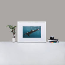 Dolphintastic - Matte Paper Framed Poster With Mat by Justin Okoye