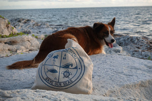 Save Our Seas - Eco Tote Bag