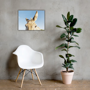 I See you Donkey 2 - Canvas