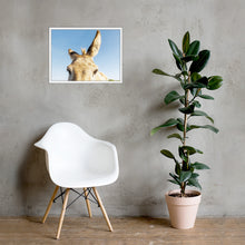 I See you Donkey 2 - Framed poster