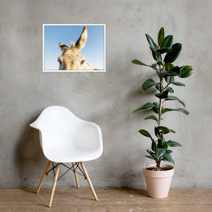 I See you Donkey 2 - Framed poster