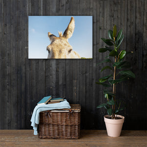 I See you Donkey 2 - Canvas