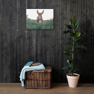 I see you Donkey - Canvas