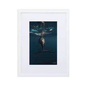Dolphin tail - Matte Paper Framed Poster With Mat by Justin Okoye