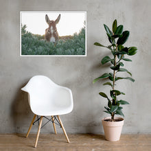 I See you Donkey - Framed poster