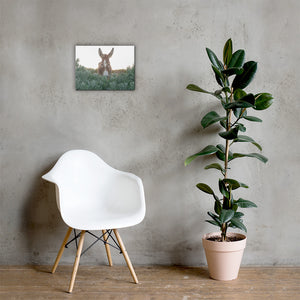 I see you Donkey - Canvas