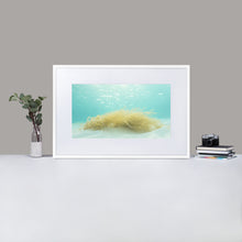 Dreams from the Sea - Matte Paper Framed Poster With Mat