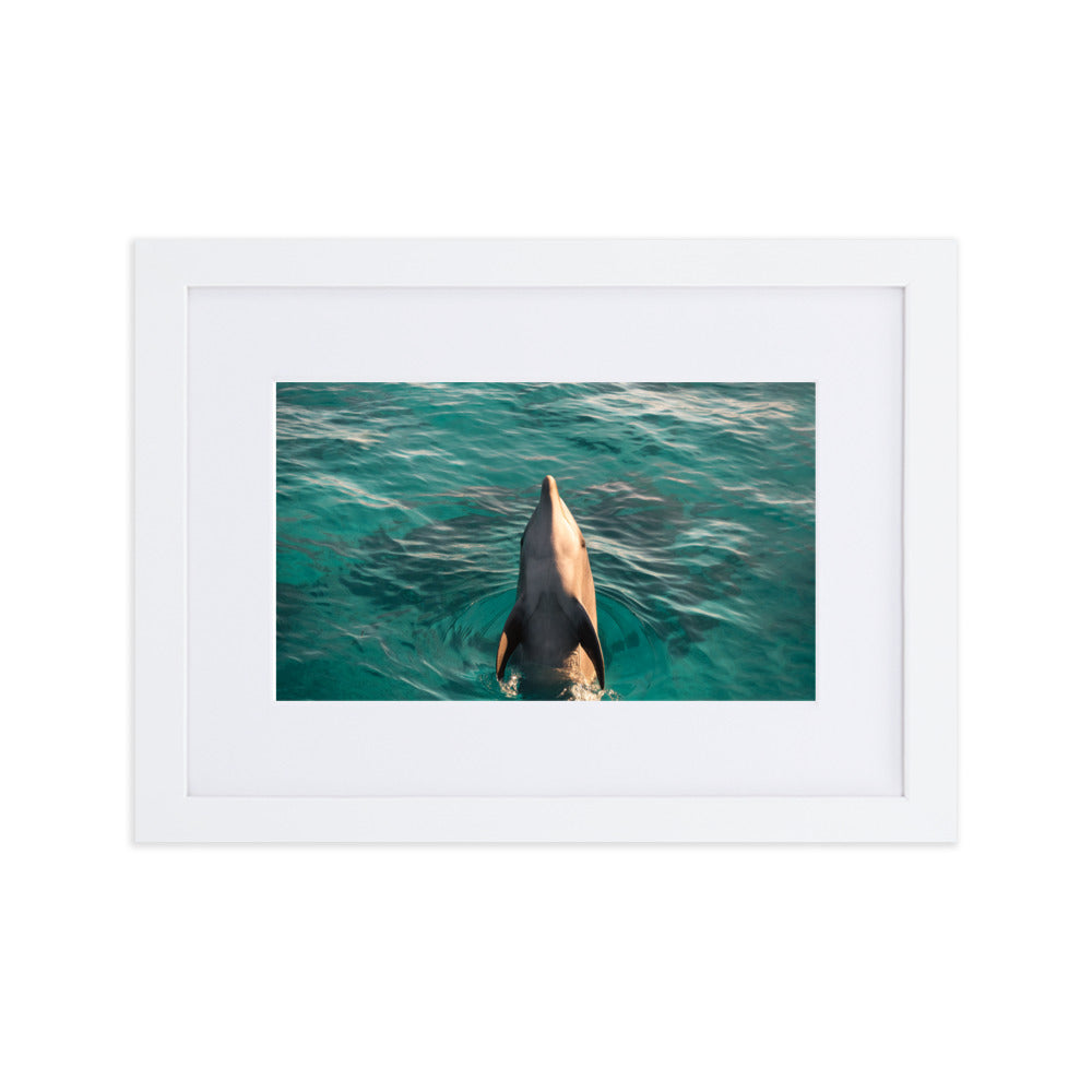 As free as the sea Matte frame print by Justin Okoye