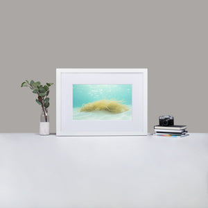 Dreams from the Sea - Matte Paper Framed Poster With Mat