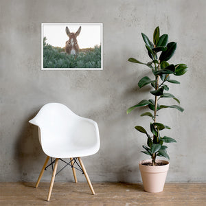 I See you Donkey - Framed poster