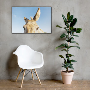 I See you Donkey 2 - Canvas