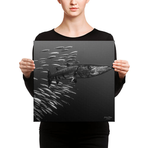 Baracuda Canvas print