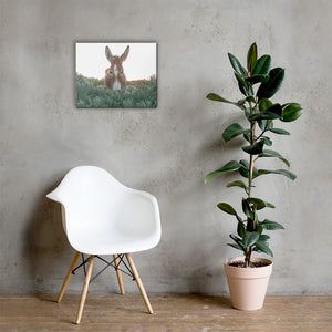 I see you Donkey - Canvas