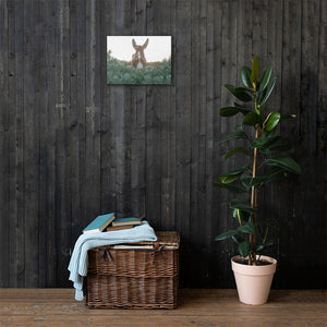 I see you Donkey - Canvas