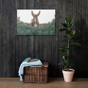 I see you Donkey - Canvas