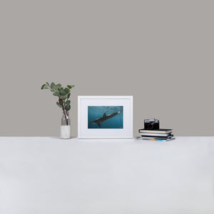 Dolphintastic - Matte Paper Framed Poster With Mat by Justin Okoye