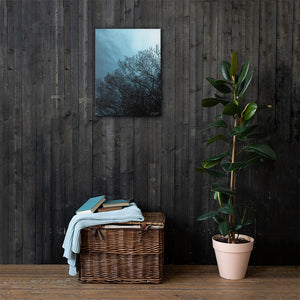 Sea Fan Underwater Canvas print