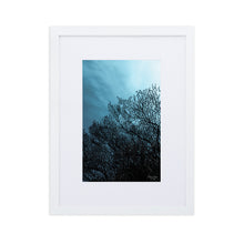 Sea fan - Matte Paper Framed Poster With Mat