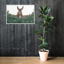 I See you Donkey - Framed poster