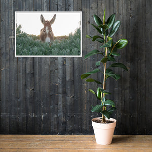 I See you Donkey - Framed poster