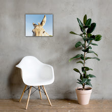 I See you Donkey 2 - Canvas