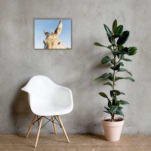 I See you Donkey 2 - Canvas