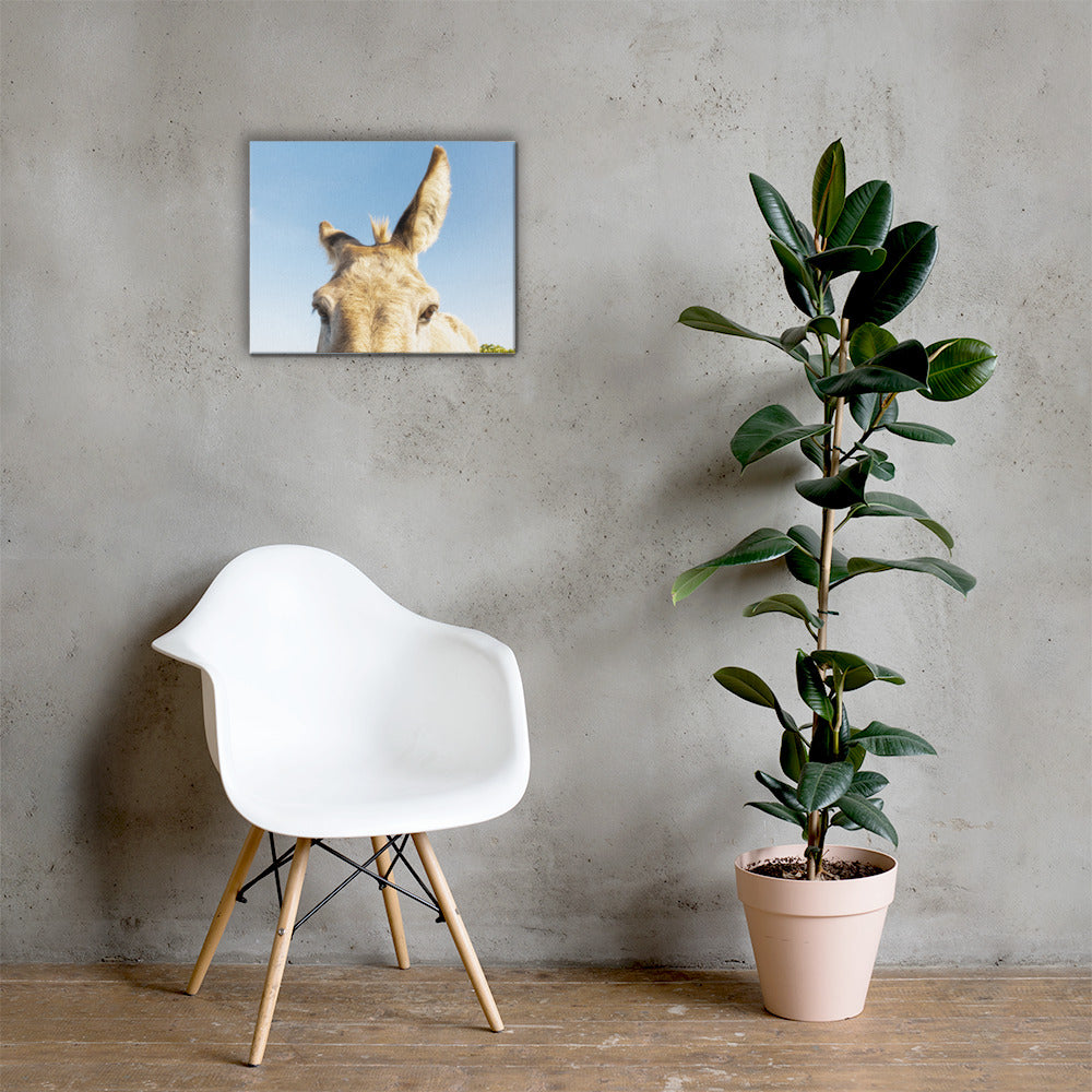 I See you Donkey 2 - Canvas