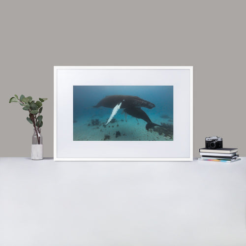 Mama and baby whale - by Justin Okoye Matte Paper Framed Poster With Mat