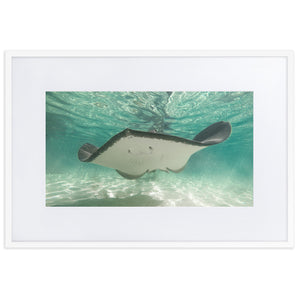 Dancing Ray - Matte Paper Framed Poster With Mat