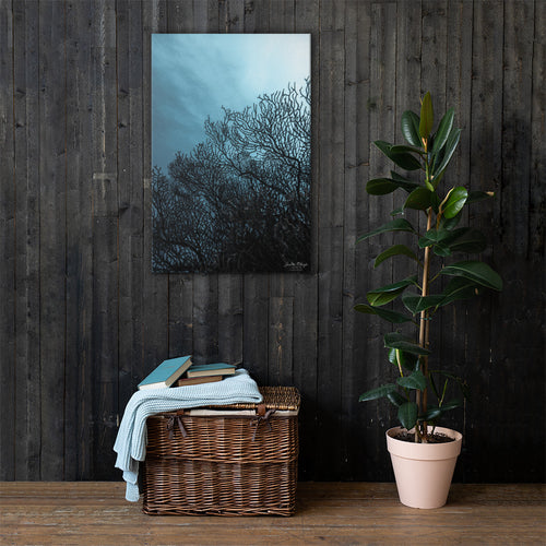 Sea Fan Underwater Canvas print