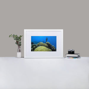 Coral Underwater - Matte Paper Framed Poster With Mat
