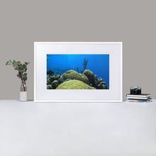 Coral Underwater - Matte Paper Framed Poster With Mat