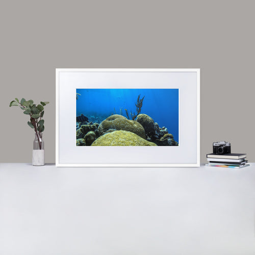 Coral Underwater - Matte Paper Framed Poster With Mat