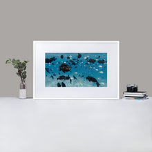 School of Fish - Matte Paper Framed Poster With Mat by Fay Ninon