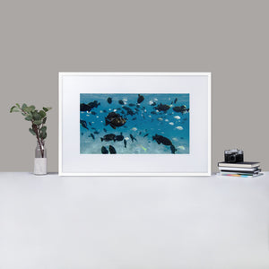 School of Fish - Matte Paper Framed Poster With Mat by Fay Ninon
