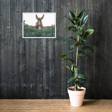 I See you Donkey - Framed poster
