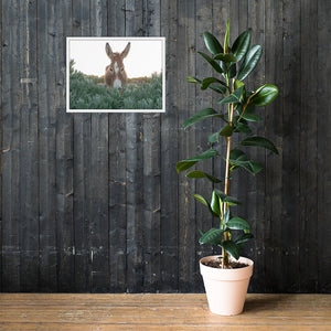 I See you Donkey - Framed poster