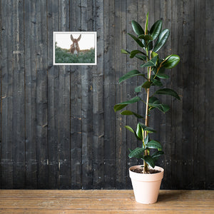 I See you Donkey - Framed poster