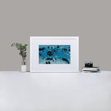 School of Fish - Matte Paper Framed Poster With Mat by Fay Ninon