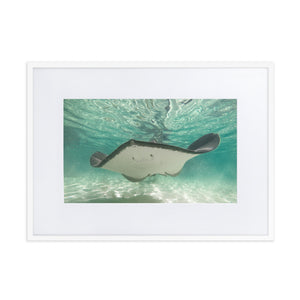 Dancing Ray - Matte Paper Framed Poster With Mat