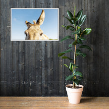 I See you Donkey 2 - Framed poster