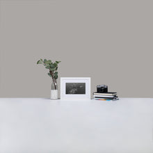 Baracuda - Matte Paper Framed Poster With Mat