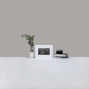 Baracuda - Matte Paper Framed Poster With Mat