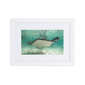 Dancing Ray - Matte Paper Framed Poster With Mat