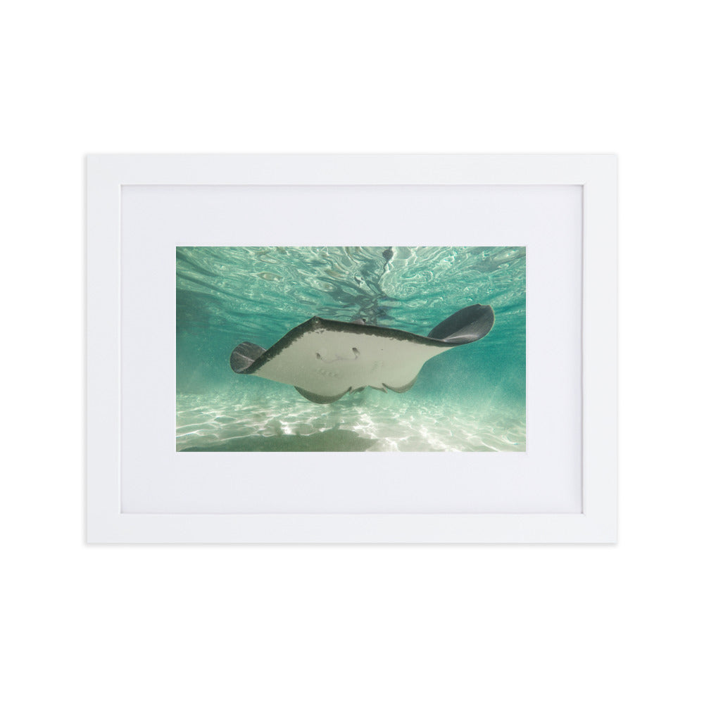 Dancing Ray - Matte Paper Framed Poster With Mat