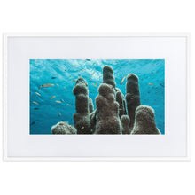 Underwater Coral by Justin Okoye Matte frame print