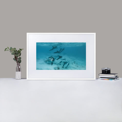 As Free as the Sea - Matte Paper Framed Poster With Mat