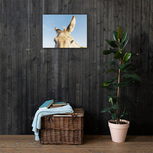 I See you Donkey 2 - Canvas