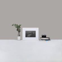 Baracuda - Matte Paper Framed Poster With Mat