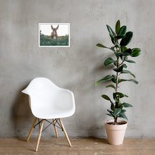 I See you Donkey - Framed poster
